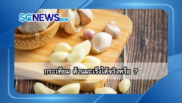 Read more about the article กระเทียม สรรพคุณประโยชน์หลากหลาย ต้านมะเร็งได้จริงหรือ?