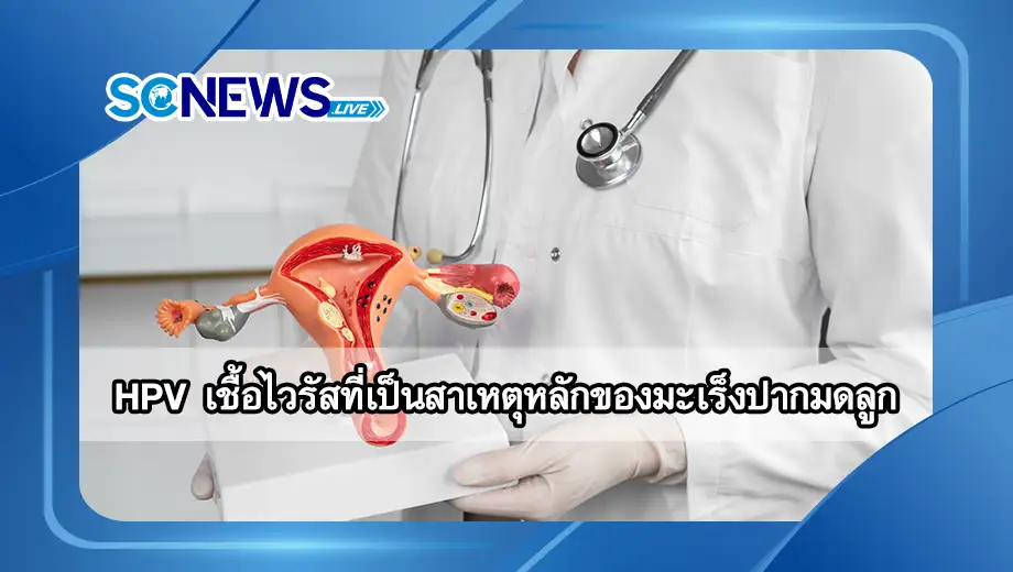 You are currently viewing HPV เชื้อไวรัสที่เป็นสาเหตุหลักของมะเร็งปากมดลูก