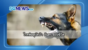 โรคพิษสุนัขบ้า